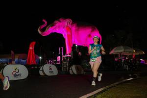 BIB: 
                            <button type="button" onclick="openModal(26543636)" class="btn btn-primary btn-sm float-right btn-popup" data-toggle="modal" data-target=".modal-high-quality">
                        <i class="fas fa-shopping-cart"></i> Add to Cart
                    </button>
                                            <button type="button" onclick="isThisMe(26543636, true)" class="btn btn-success btn-sm float-right btn-popup btn-isme hidden" data-toggle="tooltip" data-placement="bottom" title="นี่คือรูปของคุณใช่ไหม คลิกที่นี่เพื่อเอาเข้าอัลบั้ม">
                        <i class="fas fa-plus"></i> Add to album
                    </button>
                    <button type="button" onclick="isThisMe(26543636, false)" class="btn btn-warning btn-sm float-right btn-popup btn-isnotme hidden">
                        <i class="fas fa-ban"></i> Remove from album
                    </button>